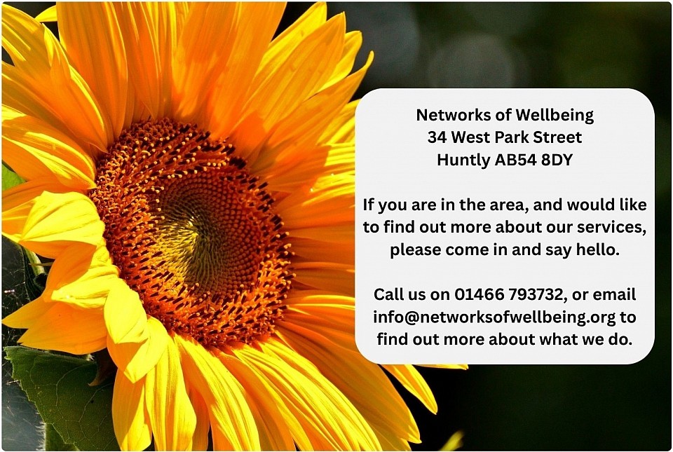 Networks of Wellbeing contact